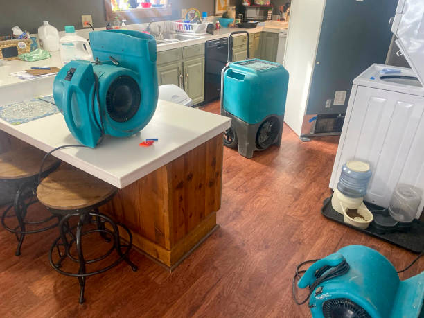 Best Flooded house restoration  in Silverthorne, CO
