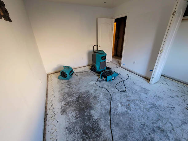 Silverthorne, CO Water damage restoration Company