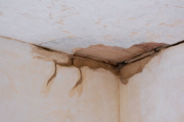 Best Emergency water damage restoration  in Silverthorne, CO