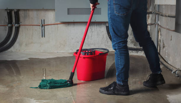 Best Fire Damage Restoration  in Silverthorne, CO