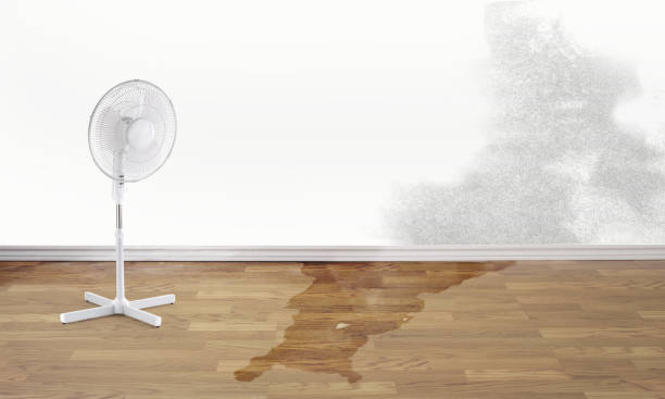 Best Ceiling water damage repair  in Silverthorne, CO