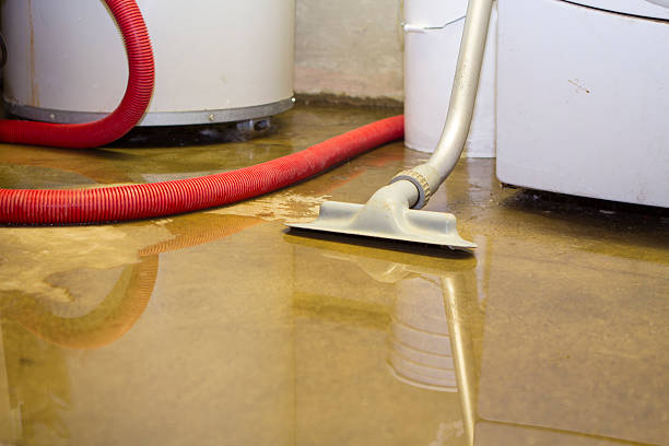 Best Carpet water damage restoration  in Silverthorne, CO