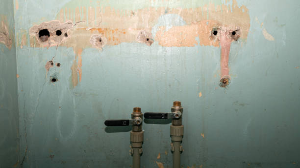 Best Emergency water damage restoration  in Silverthorne, CO