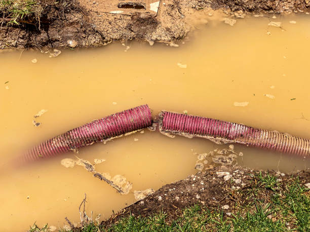Best Residential water damage restoration  in Silverthorne, CO