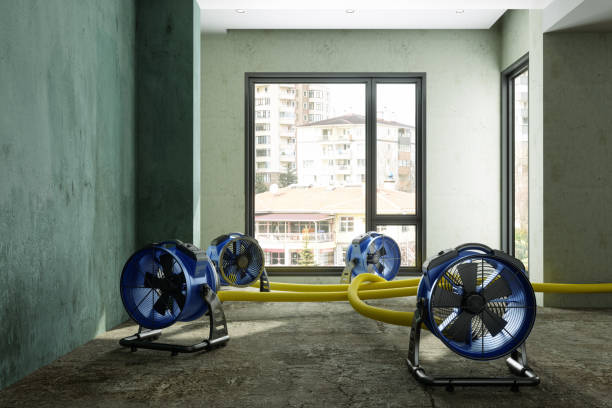 Best Flood restoration services  in Silverthorne, CO