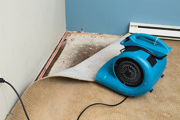 Best 24-hour water damage restoration  in Silverthorne, CO